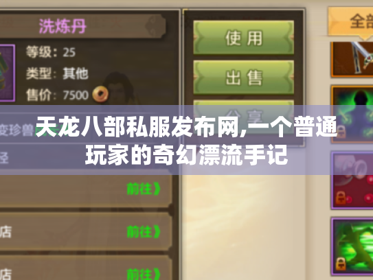 天龙八部私服发布网,一个普通玩家的奇幻漂流手记