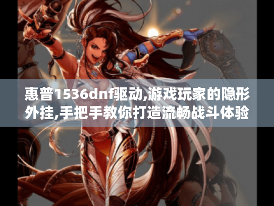 惠普1536dnf驱动,游戏玩家的隐形外挂,手把手教你打造流畅战斗体验