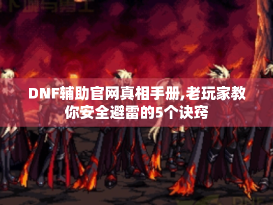 DNF辅助官网真相手册,老玩家教你安全避雷的5个诀窍
