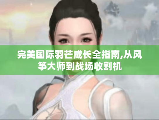 完美国际羽芒成长全指南,从风筝大师到战场收割机