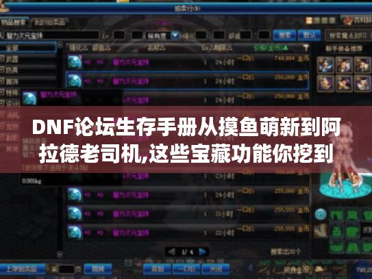 DNF论坛生存手册从摸鱼萌新到阿拉德老司机,这些宝藏功能你挖到了吗?