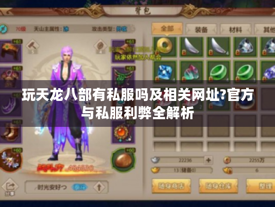玩天龙八部有私服吗及相关网址?官方与私服利弊全解析