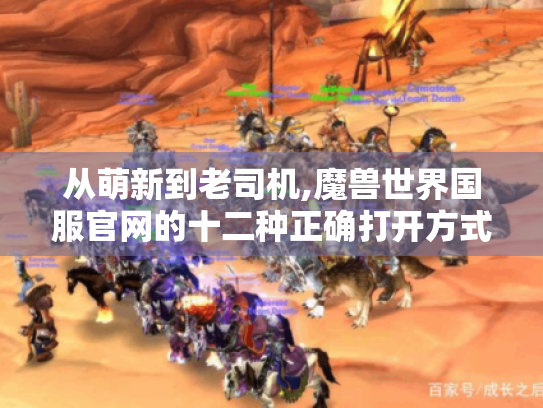 从萌新到老司机,魔兽世界国服官网的十二种正确打开方式