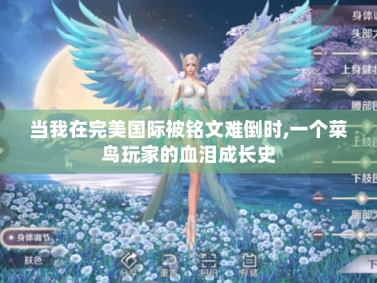 当我在完美国际被铭文难倒时,一个菜鸟玩家的血泪成长史 当我在完美国际被铭文难倒时,一个菜鸟玩家的血泪成长史