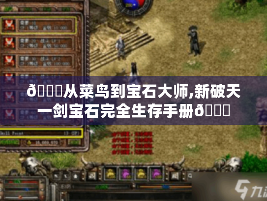 🌟从菜鸟到宝石大师,新破天一剑宝石完全生存手册🌟