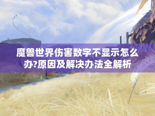 魔兽世界伤害数字不显示怎么办?原因及解决办法全解析
