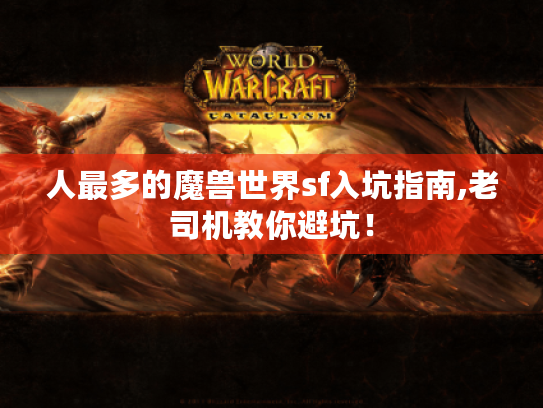 人最多的魔兽世界sf入坑指南,老司机教你避坑！