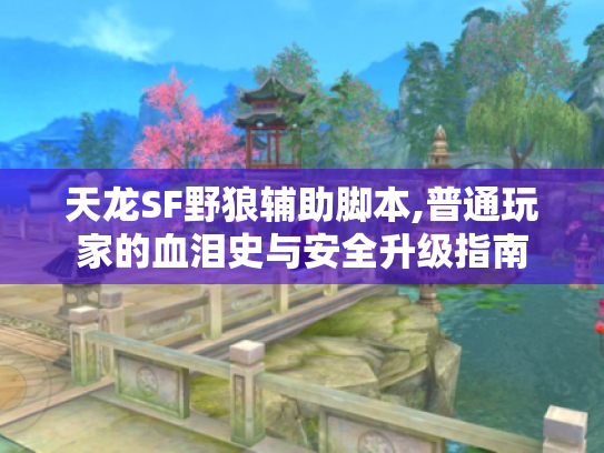 天龙SF野狼辅助脚本,普通玩家的血泪史与安全升级指南 天龙SF野狼辅助脚本,普通玩家的血泪史与安全升级指南