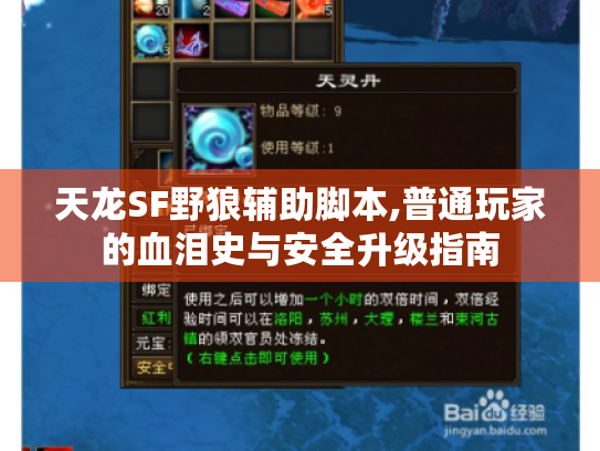 天龙SF野狼辅助脚本,普通玩家的血泪史与安全升级指南 天龙SF野狼辅助脚本,普通玩家的血泪史与安全升级指南