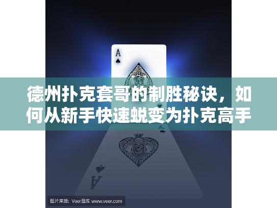 德州扑克套哥的制胜秘诀，如何从新手快速蜕变为扑克高手