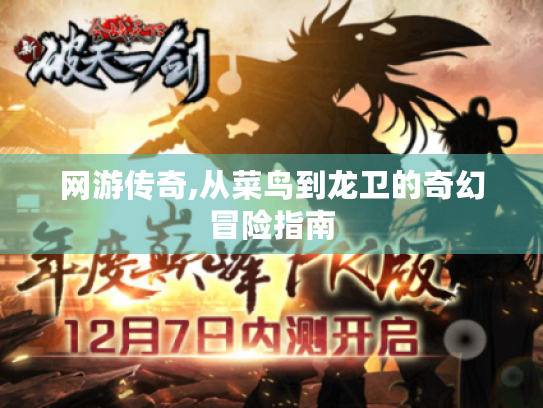 网游传奇,从菜鸟到龙卫的奇幻冒险指南