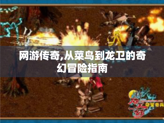 网游传奇,从菜鸟到龙卫的奇幻冒险指南