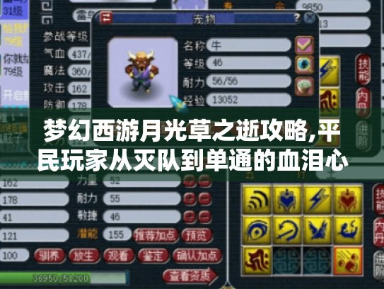 梦幻西游月光草之逝攻略,平民玩家从灭队到单通的血泪心得