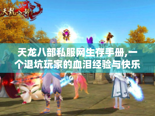 天龙八部私服网生存手册,一个退坑玩家的血泪经验与快乐密码