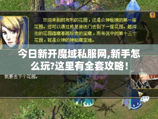 今日新开魔域私服网,新手怎么玩?这里有全套攻略！