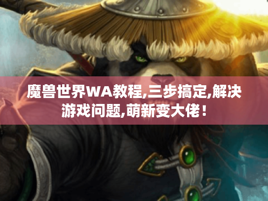 魔兽世界WA教程,三步搞定,解决游戏问题,萌新变大佬！