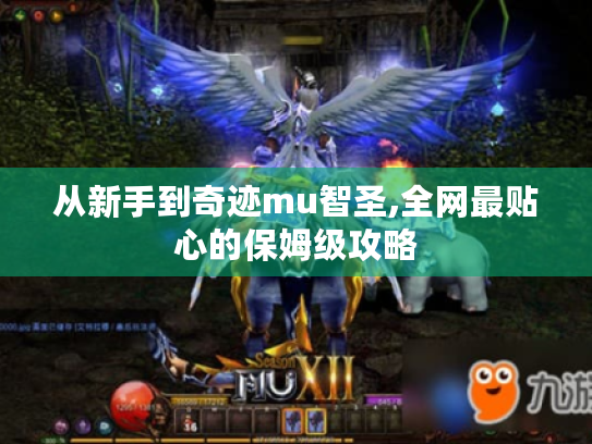 从新手到奇迹mu智圣,全网最贴心的保姆级攻略