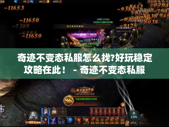 奇迹不变态私服怎么找?好玩稳定攻略在此！ - 奇迹不变态私服