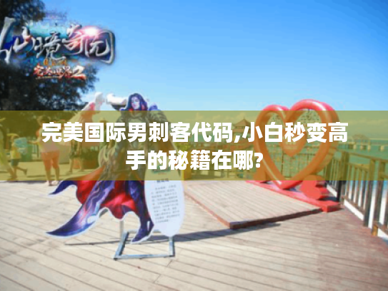 完美国际男刺客代码,小白秒变高手的秘籍在哪?