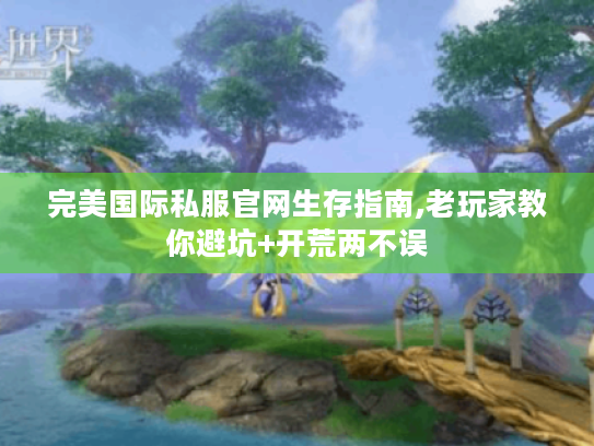 完美国际私服官网生存指南,老玩家教你避坑+开荒两不误