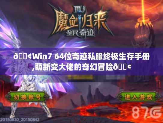 📢Win7 64位奇迹私服终极生存手册,萌新变大佬的奇幻冒险📢