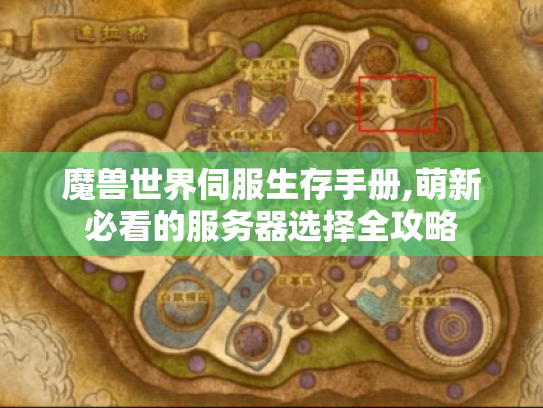 魔兽世界伺服生存手册,萌新必看的服务器选择全攻略