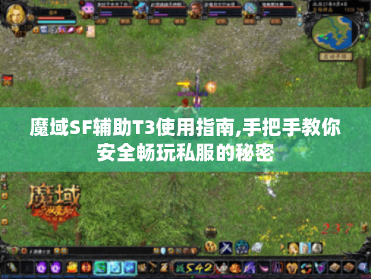 魔域SF辅助T3使用指南,手把手教你安全畅玩私服的秘密