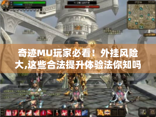 奇迹MU玩家必看！外挂风险大,这些合法提升体验法你知吗? - 奇迹mu外挂