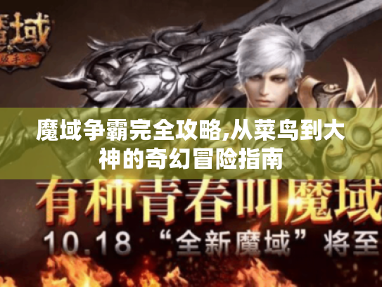 魔域争霸完全攻略,从菜鸟到大神的奇幻冒险指南