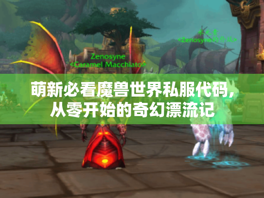 萌新必看魔兽世界私服代码,从零开始的奇幻漂流记