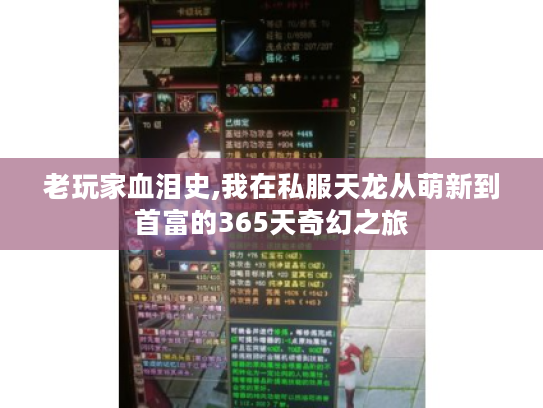 老玩家血泪史,我在私服天龙从萌新到首富的365天奇幻之旅