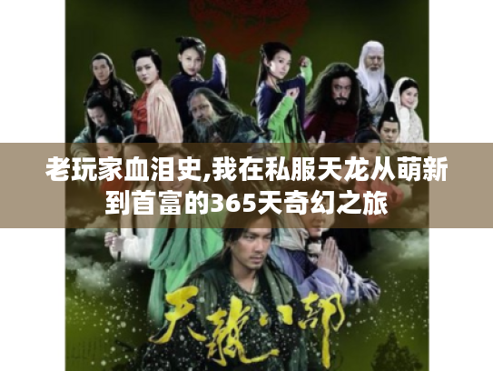 老玩家血泪史,我在私服天龙从萌新到首富的365天奇幻之旅