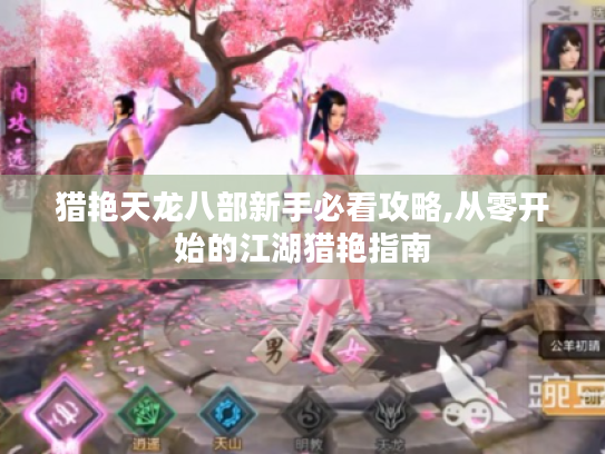 猎艳天龙八部新手必看攻略,从零开始的江湖猎艳指南 猎艳天龙八部新手必看攻略,从零开始的江湖猎艳指南