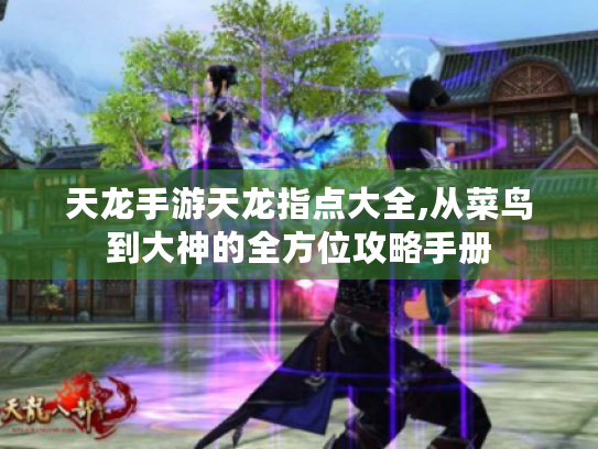 天龙手游天龙指点大全,从菜鸟到大神的全方位攻略手册