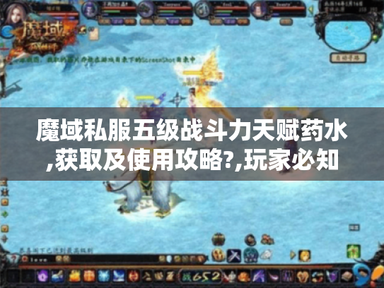魔域私服五级战斗力天赋药水,获取及使用攻略?,玩家必知！