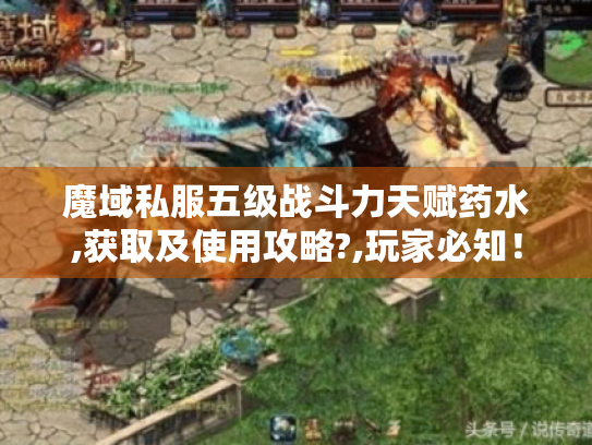 魔域私服五级战斗力天赋药水,获取及使用攻略?,玩家必知！