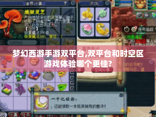 梦幻西游手游双平台,双平台和时空区游戏体验哪个更佳?