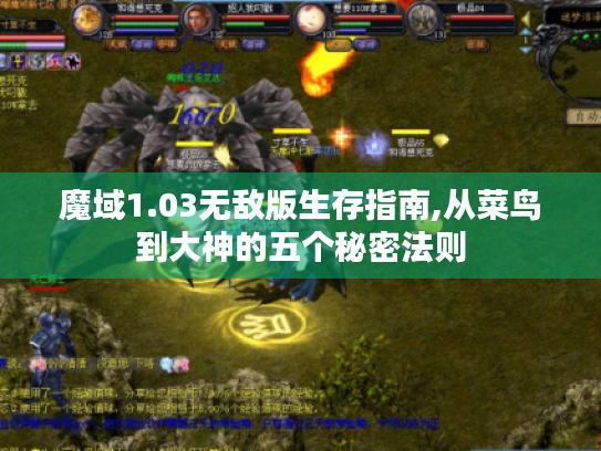 魔域1.03无敌版生存指南,从菜鸟到大神的五个秘密法则