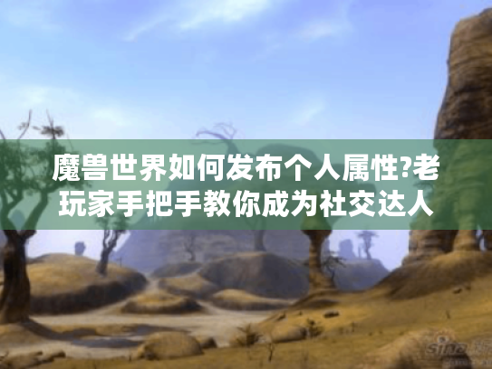 魔兽世界如何发布个人属性?老玩家手把手教你成为社交达人