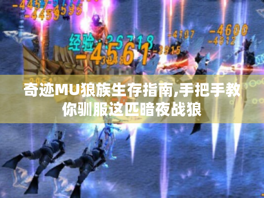 奇迹MU狼族生存指南,手把手教你驯服这匹暗夜战狼 奇迹MU狼族生存指南,手把手教你驯服这匹暗夜战狼