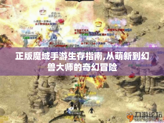 正版魔域手游生存指南,从萌新到幻兽大师的奇幻冒险