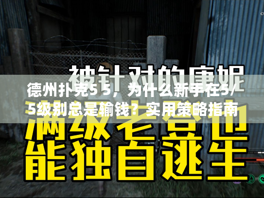 德州扑克5 5，为什么新手在5/5级别总是输钱？实用策略指南在此！