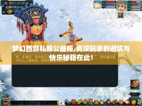 梦幻西游私服公益服,资深玩家的避坑与快乐秘籍在此！