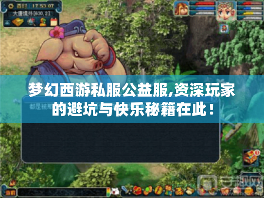梦幻西游私服公益服,资深玩家的避坑与快乐秘籍在此！