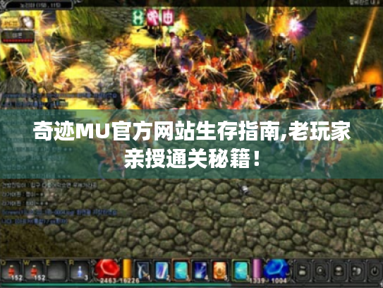 奇迹MU官方网站生存指南,老玩家亲授通关秘籍！