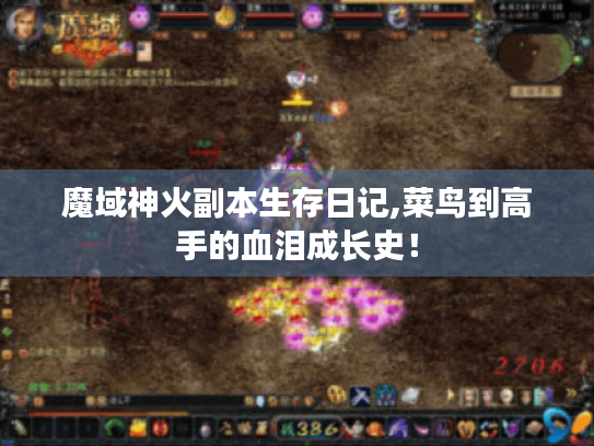 魔域神火副本生存日记,菜鸟到高手的血泪成长史！