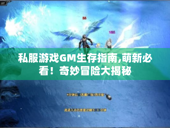 私服游戏GM生存指南,萌新必看!奇妙冒险大揭秘 私服游戏GM生存指南,萌新必看!奇妙冒险大揭秘