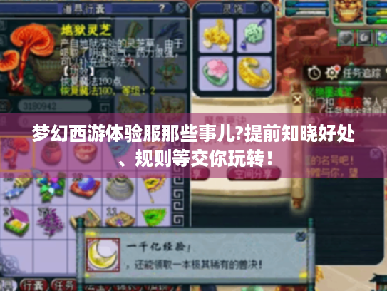 梦幻西游体验服那些事儿?提前知晓好处、规则等交你玩转！