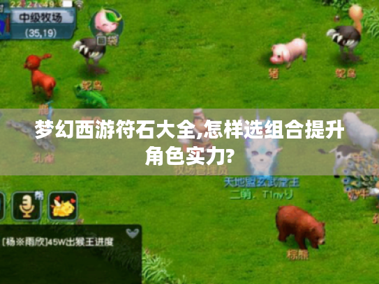 梦幻西游符石大全,怎样选组合提升角色实力?