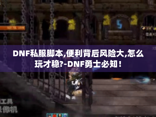 DNF私服脚本,便利背后风险大,怎么玩才稳?-DNF勇士必知！